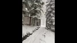 Heavy snowfall hits South Lake Tahoe, California