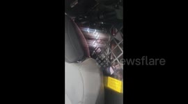 USA: Police dog imitates the sound of a siren in Tampa