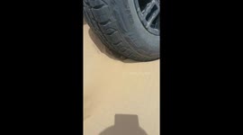 Heroic gerbil helps rescue vehicle trapped in desert