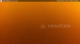 USA: Rescue of Man And Three Dogs from Flooding in Houston