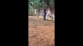 Goalkeeper Can't Catch the Ball
