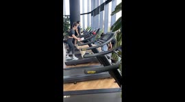 Woman and Dog Walk on Treadmill