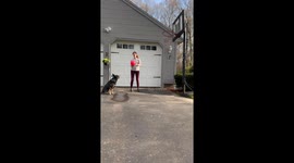Dog Makes a Basket