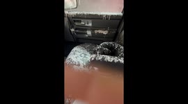 Dog Makes a Mess After Opening Window During Car Wash