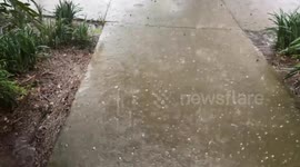 US: Severe Thunderstorm Moves Into South Carolina, Bringing High Winds, Intense Hail