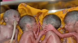 Indian woman gives birth to five healthy quintuplets