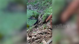 Resident saves stray dog stuck on pond's edge