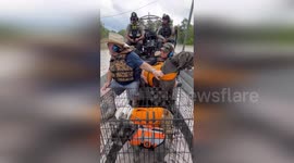 Texas floods rescue team save stranded pet dogs