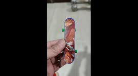 Hilarious moment mother attached finger skateboard to pet turtle