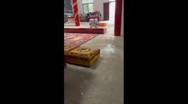 Cat stays in temple to hide from bully dog