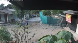 Vengeful neighbour takes revenge on dog that bit his nephew by killing and eating the animal