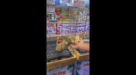 Prairie dog reaches out to touch visitors