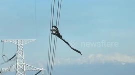 Drone removes plastic sheet stuck on 600ft high power lines