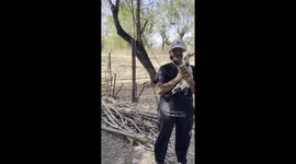 Goat baby reunites with mother amidst tense moment