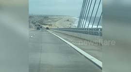 Shocking video shows 50-foot whale beached along shoreline