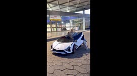 French Bulldog Drives His Lamborghini