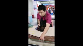 Eel evades butcher's grasp in Guangdong, China