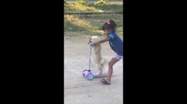 Quick-thinking child saves dog from collision on scooter