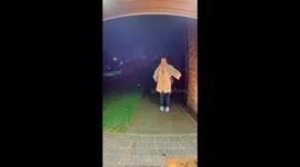 Frog on front door: unexpected visitor delights homeowner