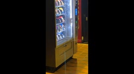 Rat in Vending Machine