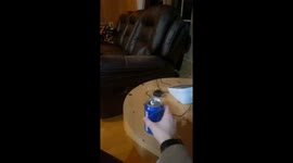 Dog Fetches Owner a Beer