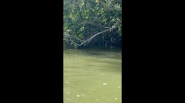 Mom Pushes Her Luck With Croc