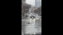 Cars Stop for Goose at Crosswalk