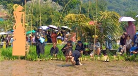 Rice Field Festival in Sumedang, Indonesia
