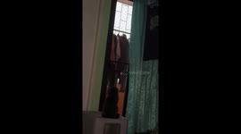 Black cat's eyes light up like a demon
