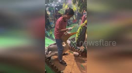 Keeper rescues baby duck eaten alive by greedy pelican