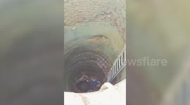 India: Cow falls into 100-feet deep well and is rescued