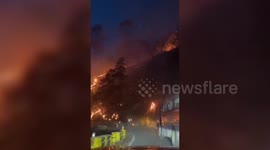 India: Officials conduct rescue operation after massive forest fire breaks out