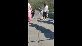 Baby impresses locals by crawling up the Great Wall of China