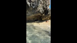 Massive snakes coiled in coastal caves: Polillo, Quezon, Philippines