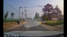 Quick-thinking driver averts double car accident in Shandong, China