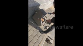 Technician rescues stray cat trapped in cement pillar
