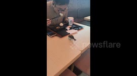Sparrow boldly joins traveller for breakfast at airport in China