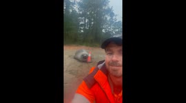 Neil the Seal Telling Me Who's Boss
