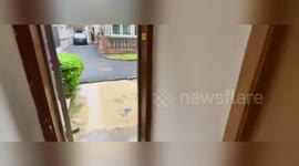Harry Potter-style cupboard under stairs offered for rent at 41 dollars a month