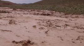 China-donated tents offer swift shelter for flood-hit Afghans