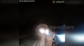 USA: IMPD Officers Rescue Stranded Dog from Brutal Cold in Indianapolis