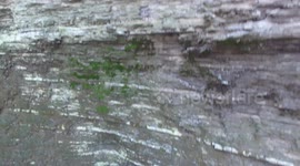 Part 2 | DJI Phantom 4 Drone Collision / Obstacle Avoidance Test in Upper Ball's Falls, Niagara Peninsula