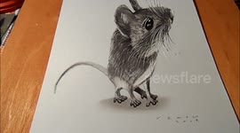How to draw a 3D mouse