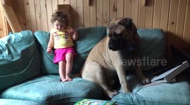 Dog 'kisses' young girl, then tries to impress her by 'playing the piano'