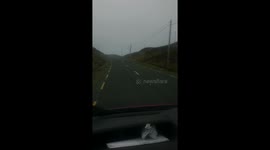 ASKING A SHEEP FOR DIRECTIONS DONEGAL IRELAND