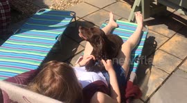 Dog enjoying lazing about in the sun