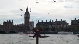 Seagulls are circling over the River Thames South Bank