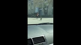 Crazy goose attacks woman