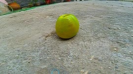 smash an apple in slow motion