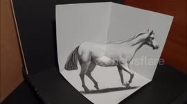 How I Draw a 3D Horse, Trick Art & Three Dimensional Space by Vamos